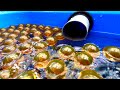 Water Sound ASMR💓Water Marble Run Transparent Tunnel Water Dragon Ball