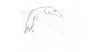 Gobelins Animation Fundamentals - Ondulation