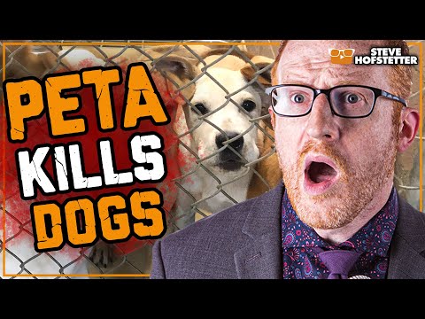 The video of Steve Hofstetter about PETA • Loro Parque