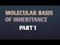 molecular basis/ Part 1/Class 12/Cbse/Neet 2022/English