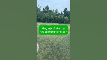 Thay mặt cỏ nhân tạo mới cho sân bóng cũ và cái kết có hậu. #conhantaofoba #shorts