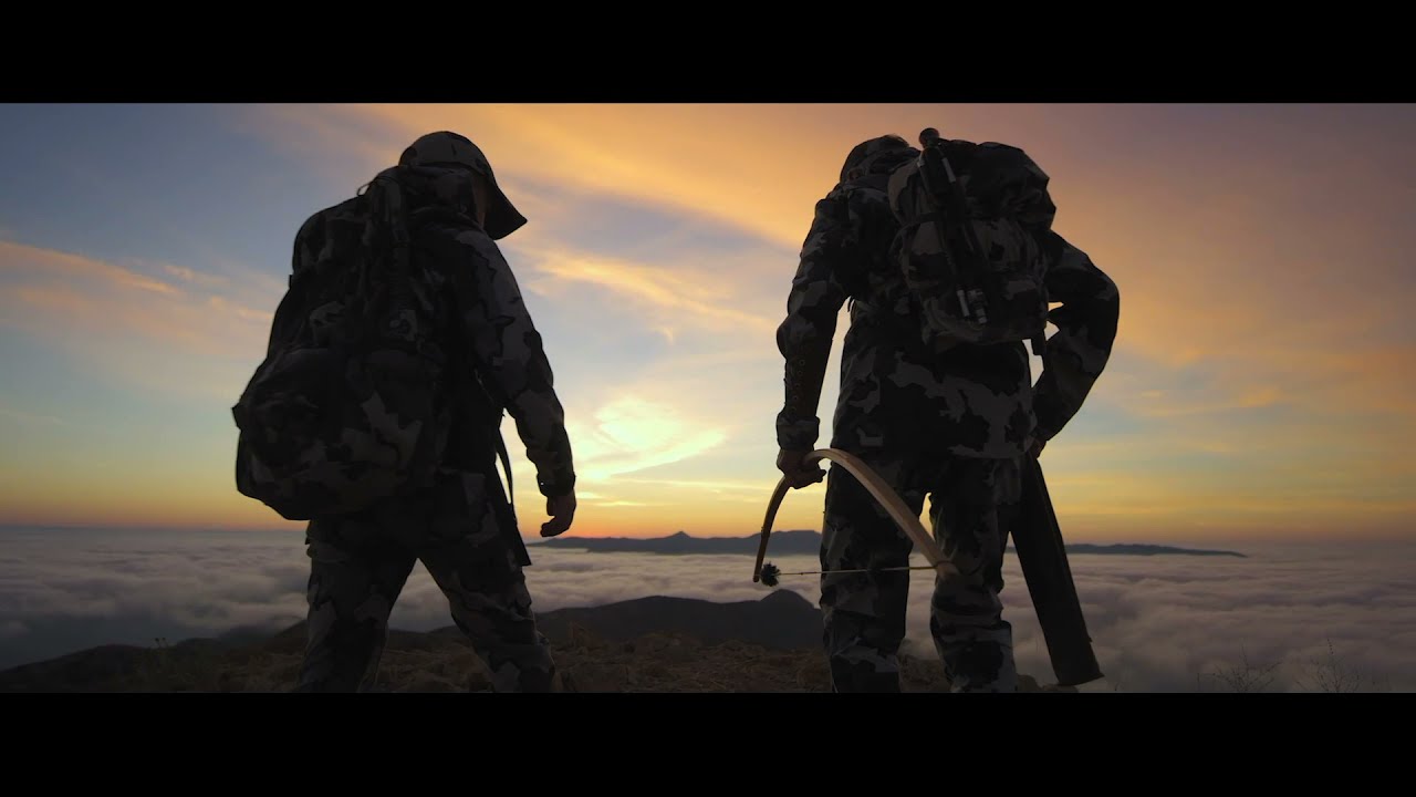 Three Pillars of Pope & Young