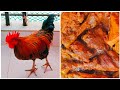 দেশি মোরগ ভুনা রেসিপি। Desi chicken masala curry recipe। Muslim style spicy desi chicken recipe