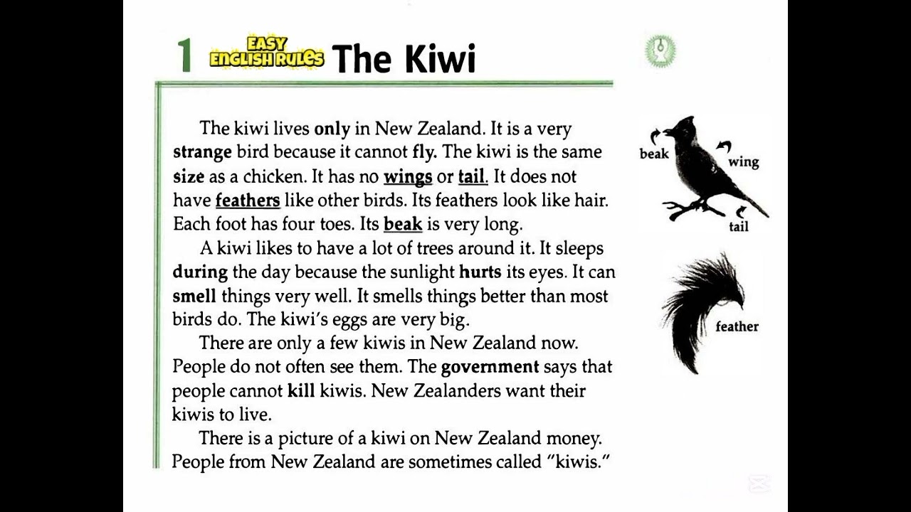 Unit 1:  Lesson 1: The Kiwi (FACTS & Figures) 