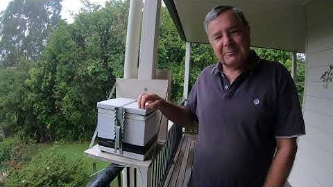 Australian native bee hive split