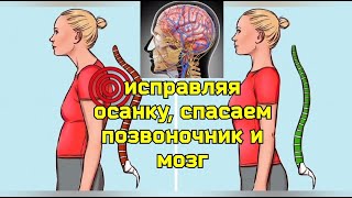 Жизнь Шеи, Мозга, Позвоночника Зависит От Баланса Мышц Живота И Спины. 2 Полезных Упражнения