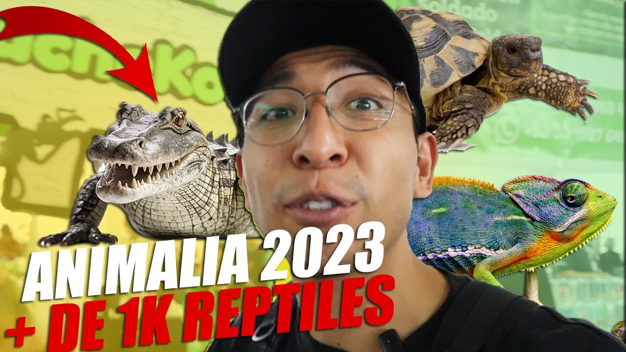 Esto Encontramos En Animalia 2024  Precios 🤑