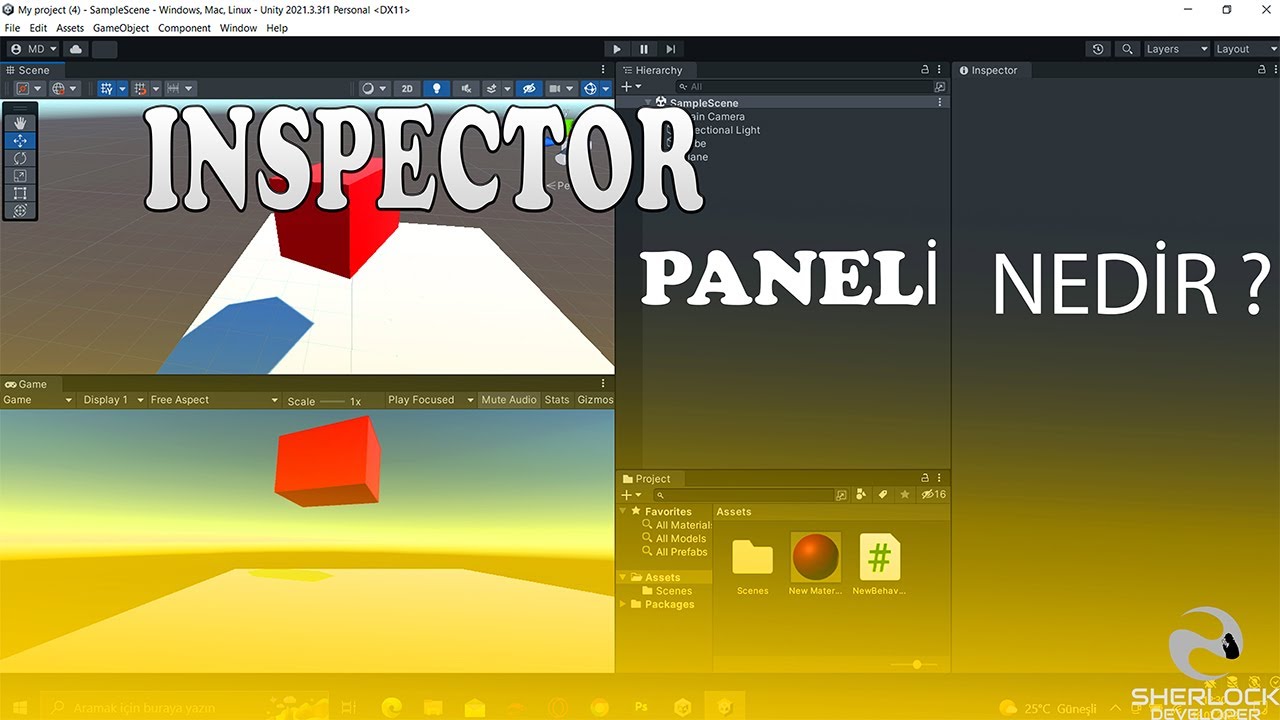 NE İŞE YARAR BU INSPECTOR PANELİ 