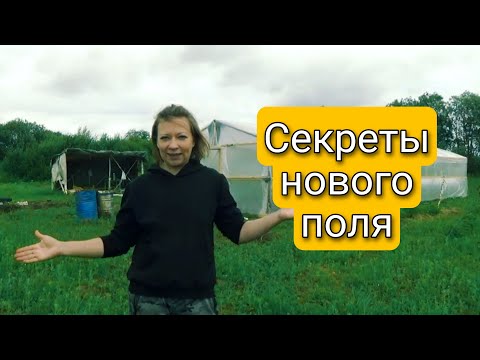 Новое поле для сада и огорода Светланы Самойловой 