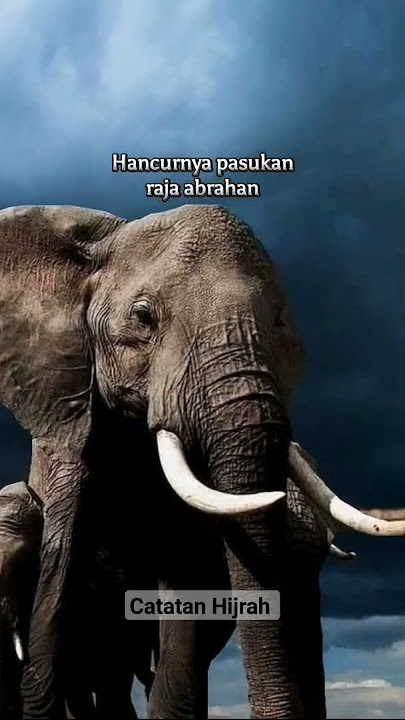 6 peristiwa besar menjelang kelahiran nabi Muhammad SAW #islamic #shortvideo #dakwah #shorts