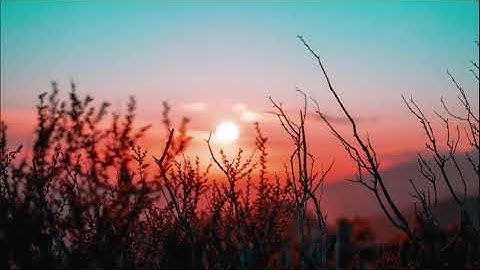 من أجمل التلاوات التي قد تسمعها حقاً لاتوصف