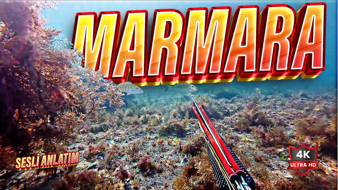 Подводная охота в Мраморном море! / Черная прибрежная охота / Аудиоописание / Варианты субтитров