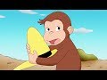 George O Curioso 🐵 Macaco na Australia 🐵Compilação 🐵 Desenhos Animados em Português