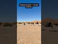 #ksourvoyages #morocco #deserttours #cameltrekking #travelshorts #marrakech