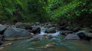 Relax Deeply with Slow River Current Sounds for Meditation and Peaceful Sleep