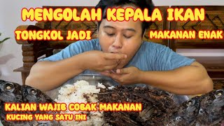 MENCOBA MAKANAN KUCING ⁉️ KEPALA IKAN TONGKOL BUMBU SAMBAL DI JAMIN KALIAN MAKAN GEMUKKKK