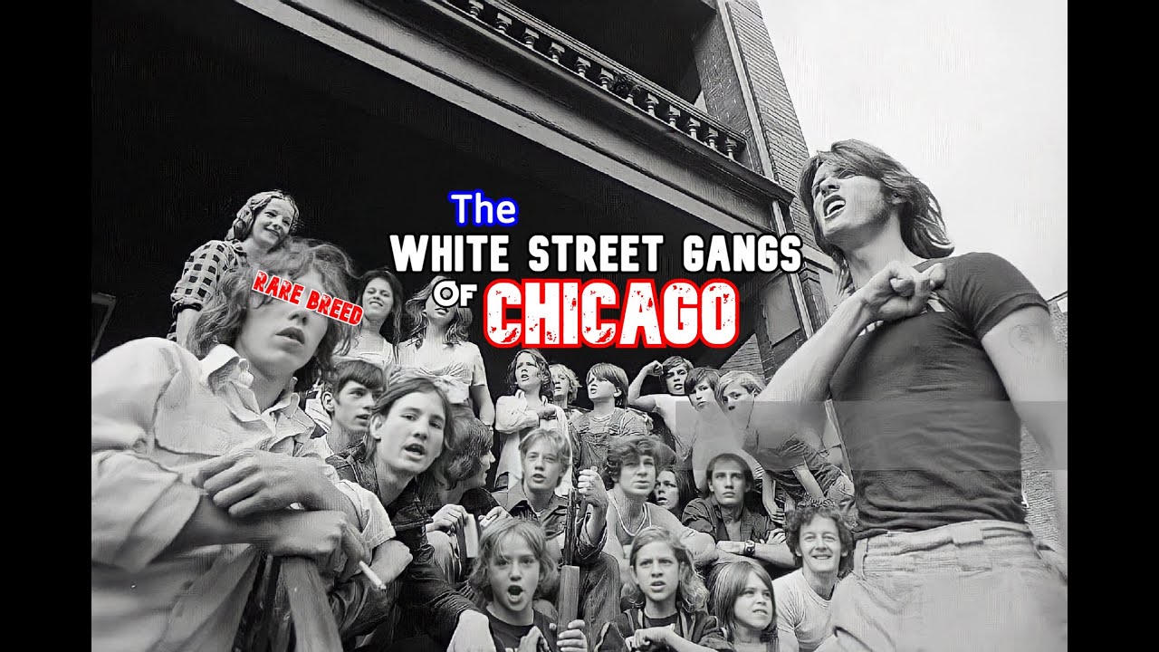 Банды белой улицы Чикаго: прошлое, настоящее и... будущее?