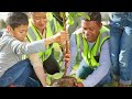 Earth Day Video - Planting Trees: Duncan McIntosh &#39;28