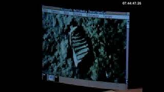 Microsoft MultiMedia Encyclopedia (Windows 1.x) screenshot 5