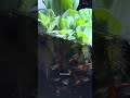 They are hungry