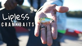 How To Fish A Lipless Crankbait To Catch More Bass