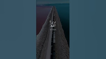 واستغفروا الله إن الله غفور رحيم   #عبدالعزيز الزهراني #سورة البقرة