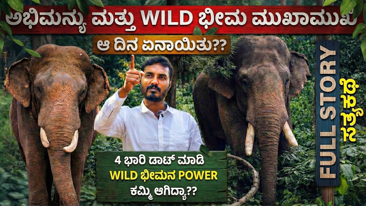 ಗೆದ್ದವರು ಯಾರು ? ಸೋತವರು ಯಾರು? Wild Bheema  Vs Abhimanyu🔥