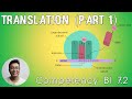 Prokaryotic and eukaryotic translation   initiation genetic code and ribosomal assembly