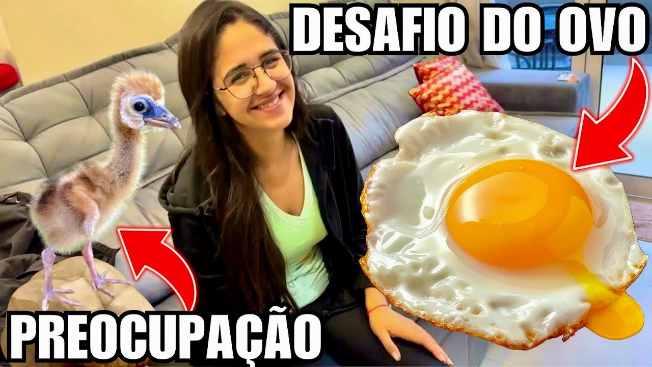 Preocupação Filhote de grou | Desafio ovo frito | Aves Recriar 