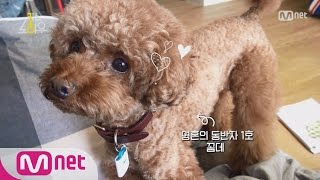 CommeDes & Garçons introduced by SM K-Pop Star Key from SHINee 개아...
