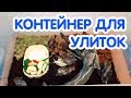 Контейнер для улиток ахатин. Обустройство контейнера