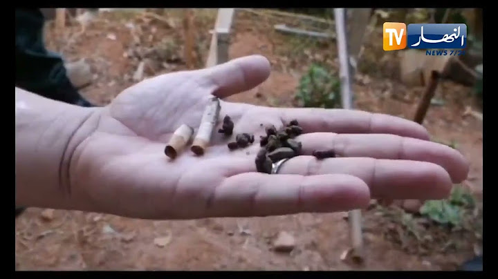 شاهد ما تم حجزه خلال مداهمات أمنية لإقليم دائرة بئر الجير بوهران