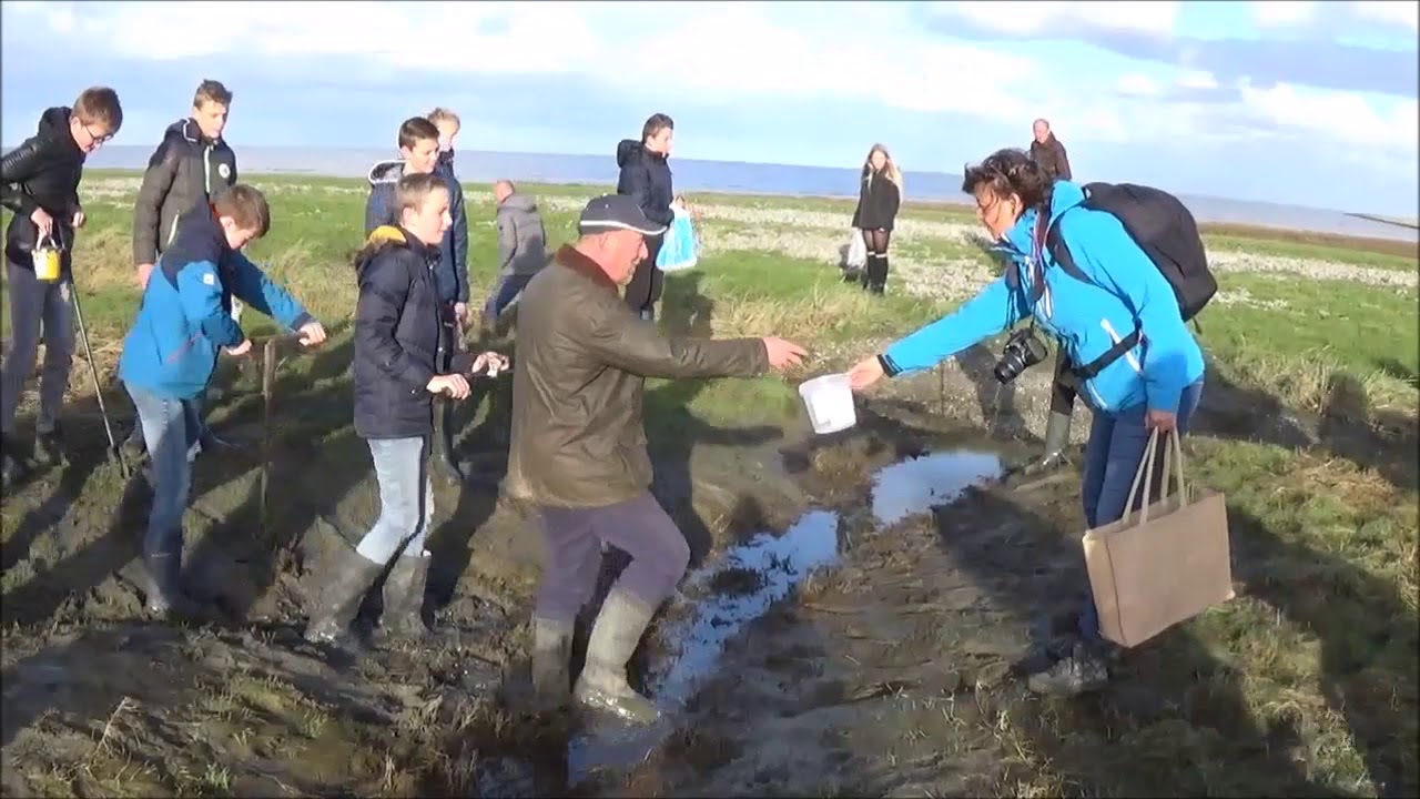 Klei-excursie bij Paesens-Moddergat