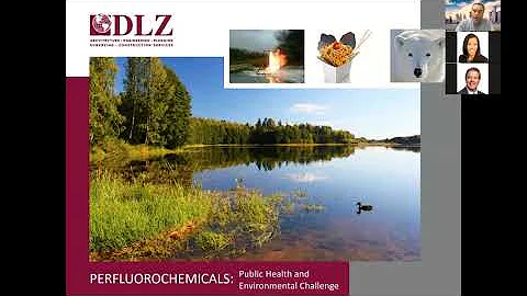 PFAS Compounds: An Emerging Group of Contaminants