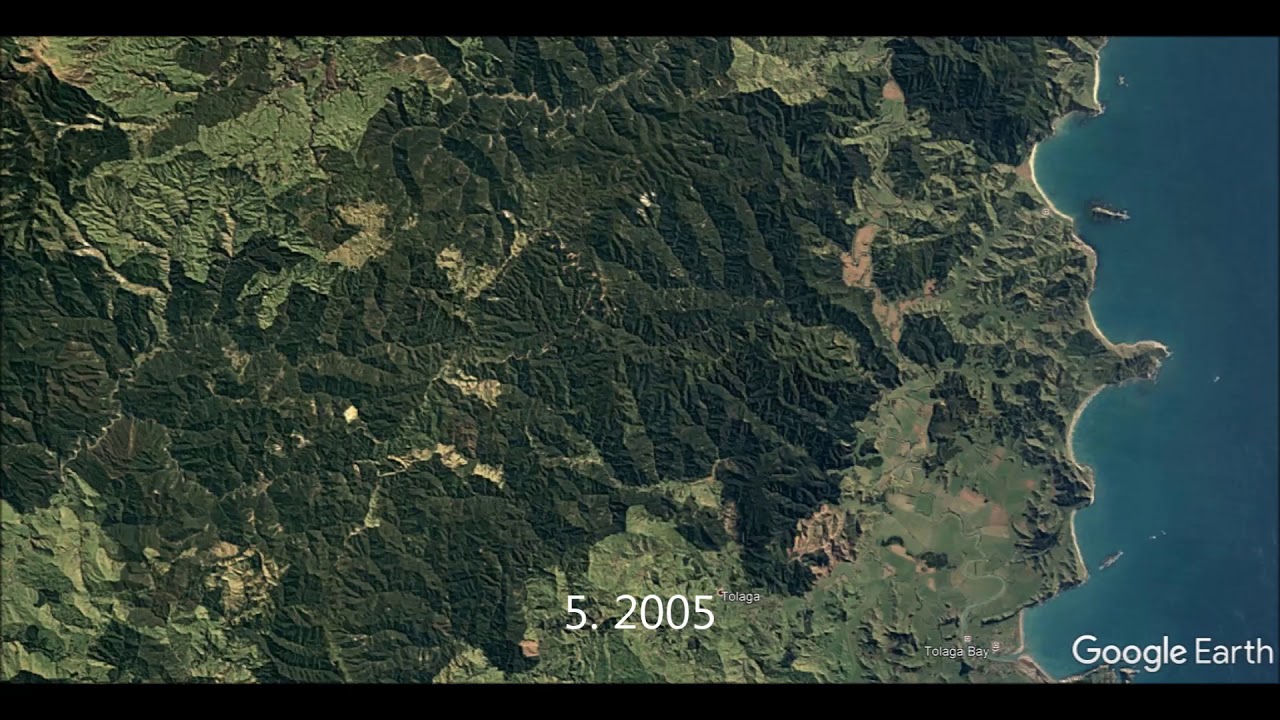 East Coast forests timeline five year periods 1984 2016 