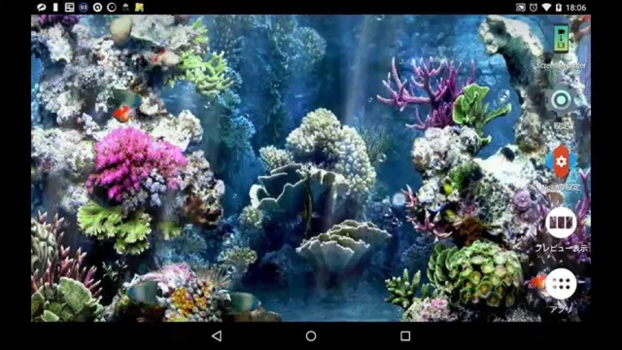 アンドロイドのライブ壁紙 水族館ライブ壁紙 Android Live Wallpaper Aquarium Live Wallpaper Youtube