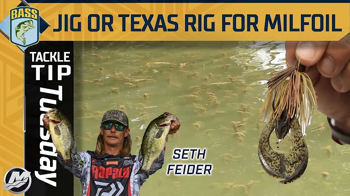 Seth Feider's grass flipping debate: Texas Rig vs. Jig in Milfoil