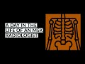 A Day In the Life of a Musculoskeletal Radiologist