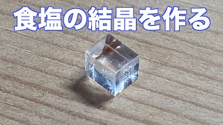 【小学6年生向け】人とかぶらない！楽しい自由研究のアイデア集