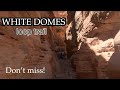 VALLEY OF FIRE LAS VEGAS BEST TRAIL | WHITE DOMES