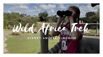 Disney Animal Kingdom Wild Africa Trek TRAVEL REVIEW