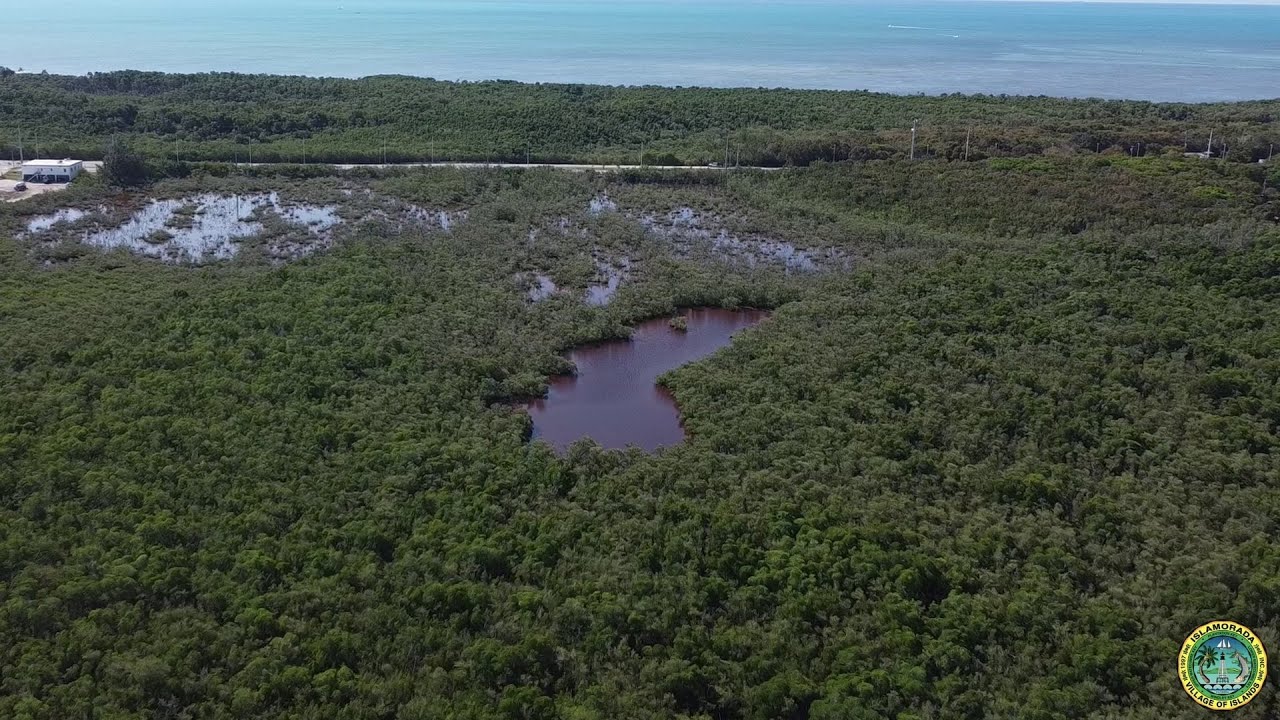 Overview of the Glynn Property Acquisition YouTube