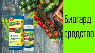 🔔 Торнадо от сорняков купить в челябинске оптом ☑ Где купить в минске раундап