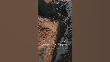 والله يريد أن يتوب عليكم || سورة النساء || القارئ شيخ ياسر دوسري. #راحة_نفسية #القرآن_الكريم