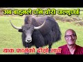 ‘अब सबैले चौरी पाल्नुपर्छ, यो कुनै जाती विशेषले मात्र गर्ने पेसा होइन’│Nepal Chitra