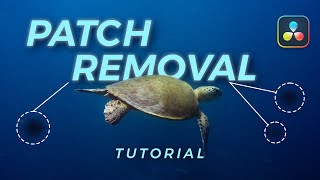 Dirt & Dust Removal in Davinci Resolve screenshot 5
