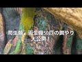 爬虫類、両生類、50匹飼育する男の餌やり特集！