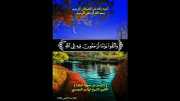 وَاتَّقُوا يَوْمًا تُرْجَعُونَ فِيهِ إِلَى اللَّه 🌴 سورة #البقره 🌴 القارى الشيخ #ياسر #الدوسري 🌴