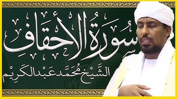 تلاوة خاشعة سورة الأحقاف تلاوة الشيخ محمد عبدالكريم