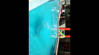 Vid 20140826 Jen Diving Into The Pool Pc Beach Florida Aug 26 2014
